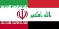 ایران و عراق در زمینه دامپزشکی تفاهمنامه همکاری امضا می‌کنند