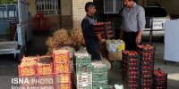 اختلاف قیمت همچنان بالاست!