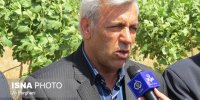 تجهیز ۷۵ هزار خانوار عشایری به پنل خورشیدی تا پایان برنامه ششم