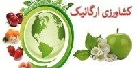 دانشگاه محقق اردبیلی میزبان کنفرانس ملی کشاورزی ارگانیک/آخرین مهلت ارسال مقاله