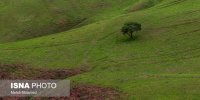 بارش و دمای ایران در بهاری که گذشت