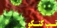 ابراهیمی: علت شیوع تب کریمه کنگو کمبود واکسن نیست