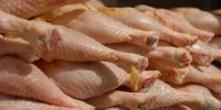 افزایش قیمت گوشت مرغ توسط مرغداران تخلف است/ گرما و دلالان عوامل دیگر گرانی!
