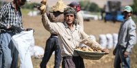 شناسایی ۱۰۰ روستای بدون بیکار در کشور