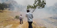مهار آتش سوزی ارتفاعات دیل و گناوه گچساران تا ۱ ساعت دیگر ‌+ تصاویر