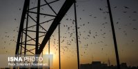 پیش‌بینی کاهش دو روزه دما در خوزستان
