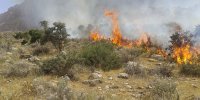 آتش‌سوزی سربیژن جیرفت مهار شد/ 6 هکتار از اراضی این منطقه در آتش سوخت