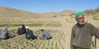 پرداخت 2000 میلیارد تومان تسهیلات برای اشتغال روستایی