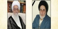فقدان آیت‌الله عاملی برای مراکز علمی و دینی خسارت است