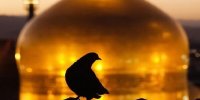 حدیث سلسله‌الذهب؛ تلاش امام رضا(ع) در تبیین ولایت