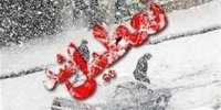 برف برخی از مدارس همدان را به تعطیلی کشاند