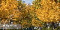 دمای تهران به صفر درجه سانتیگراد می‌رسد