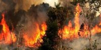 اعزام ۳ فروند بالگرد برای اطفای حریق پارک ملی گلستان