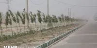 گرد و خاک عراقی وارد خوزستان شد