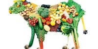 اگر گیاهخوار هستید این هشدار را جدی بگیرید