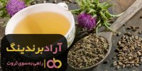 فروش کامبوجا قارچ هفت گیاه کرج