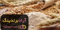 آرد گندم ارگانیک کامل بدون گلوتن مشهد