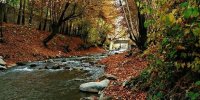 کردان کرج، مقصد یک سفر تابستانی در اطراف تهران