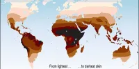 بررسی رنگ پوست مردم اروپا و روش های جوانسازی آن ها