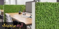 خرید چمن مصنوعی دیواری خوزستان