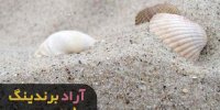 خرید پودر صدف معدنی شکری