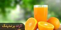 میزان تولید کنسانتره میوه مشهد چقدر است؟