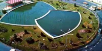 خیابان ولیعصر در دهه 50 چه شکلی بود؟ + عکس