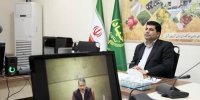 عرضه گسترده مرغ منجمد با قیمت مصوب دولتی در بازار