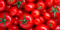 علت افزایش قیمت گوجه فرنگی و پیاز مشخص شد