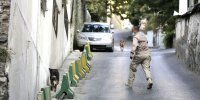 پشت‌ پرده شغل زنده‌گیری سگ های ولگرد در تهران
