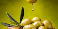 صفر تا صد فایده و زیان زیتون