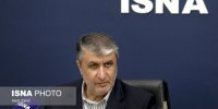 اسلامی: هر قطعنامه‌ای حتما عکس‌العملی دارد/یک گاوداری را سایت هسته‌ای اعلام می‌کنند، چطور ممکن است؟