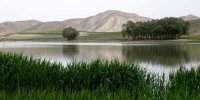 آبگیری تالاب بین‌المللی قوری گول در آذربایجان‌شرقی