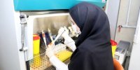 هشدار درباره شیوع یک بیماری در ایران/H۳N۲ آمد