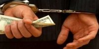 کشف 11 میلیون دلار تقلبی در تهران/ 7 دلال ارزی دستگیر شدند