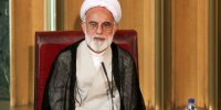 دری نجف آبادی: مسئولان باید سهل‌انگاری‌ و غفلت‌ را کنار بگذارند/ دستور آتش به اختیار را نباید به سادگی بگوییم!