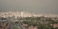 نماینده مجلس: وعده‌ها برای کنترل آلودگی هوا نوعی رد گم کردن واقعیت‌هاست!