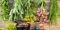 گیاهانی برای درمان بی‌اشتهایی عصبی
