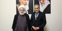 ولایتی با معاون دبیر کل حزب الله لبنان دیدار کرد