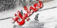 ادارات و مدارس کردستان تعطیل شد