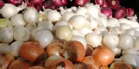 پیاز ارزان شد؟