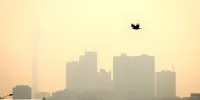 گلایه ای از تعطیلی این روزهای تهران/ بهمن را هم تعطیل کنید خیالمان راحت شود!