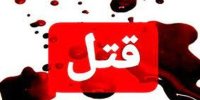 دوستی خیابانی به قیمت جان دختر جوان تمام شد/ آن شب مشروب خوردم و حال طبیعی نداشتم