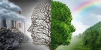 شناسایی یک درمان جدید برای فشار خون و اضطراب