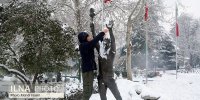 به این دلایل برف نخورید؛ خطرناک است