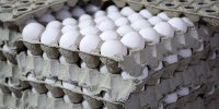 قیمت تخم مرغ اعلام شد