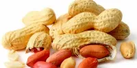 خبری خوش برای افرادی که به بادام زمینی آلرژی دارند!