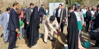 غرس نهال گردو توسط رئیس جمهور
