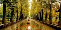 بارش باران ادامه دارد /پیش بینی هواشناسی