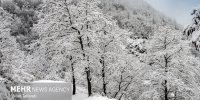 ثبت بیشترین بارش اصفهان در پادنای سمیرم/ بارندگی‌ها ادامه دارد